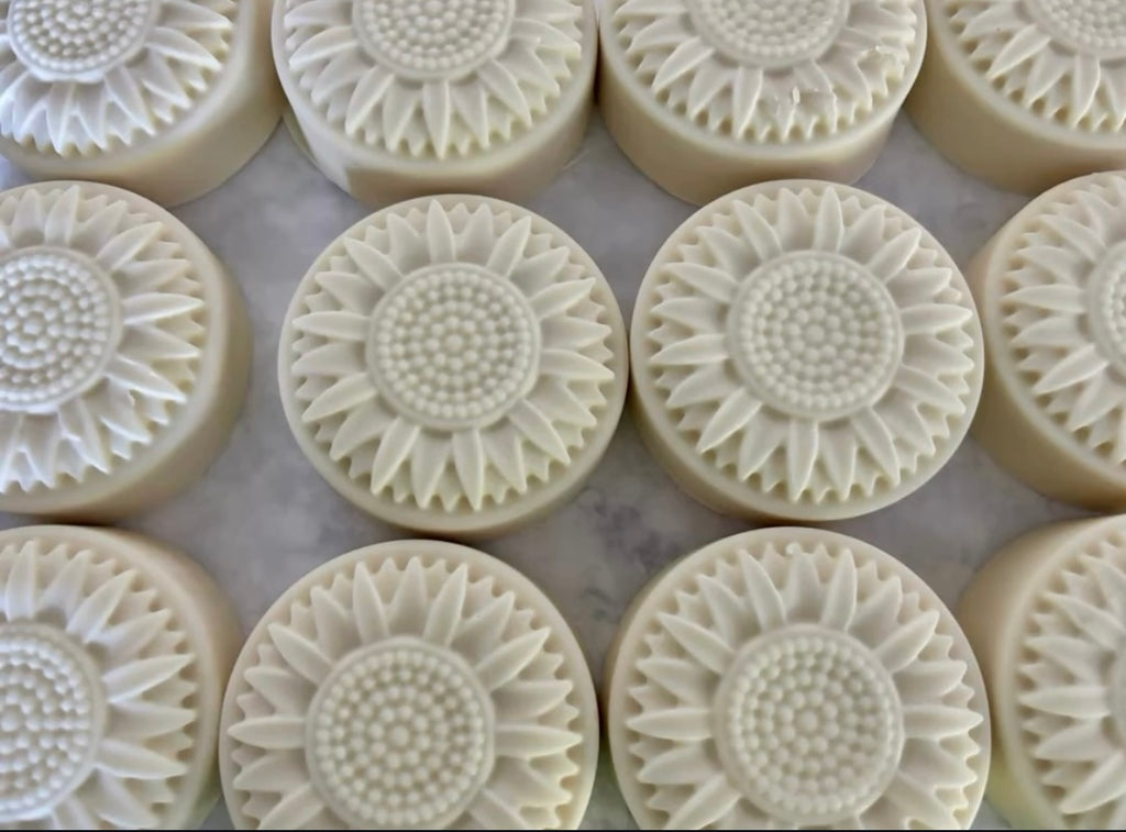 Shampoo Bar