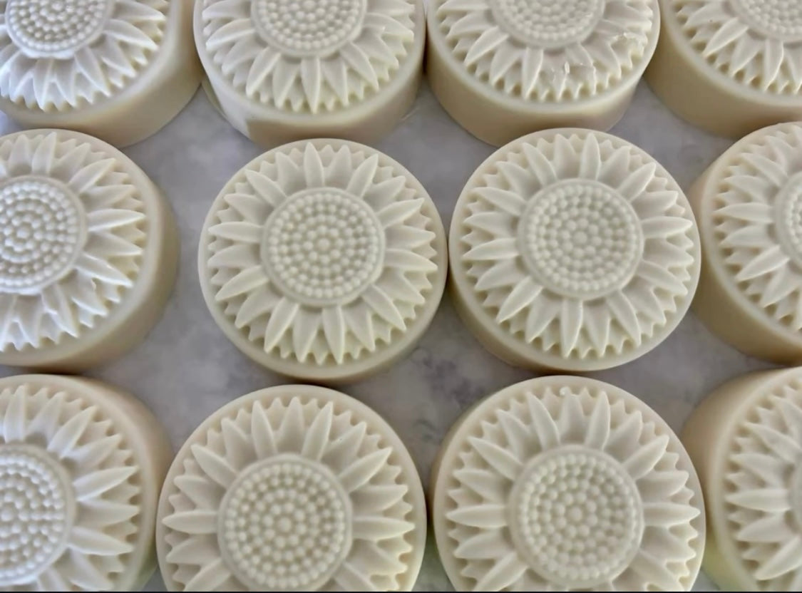 Shampoo Bar